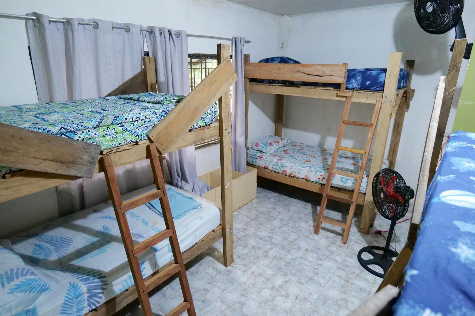 Nomada Hostel ليتيسيا المظهر الخارجي الصورة